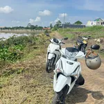 Bán nền 296m² Nhánh Văn Lang Nhà Bè - Ảnh thu nhỏ 2