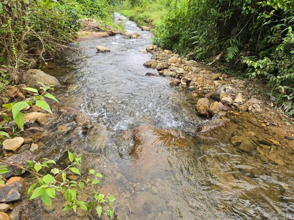 Bán 12.000m² đất bám suối Đà Bắc Hòa Bình 5 tỷ - Ảnh 1