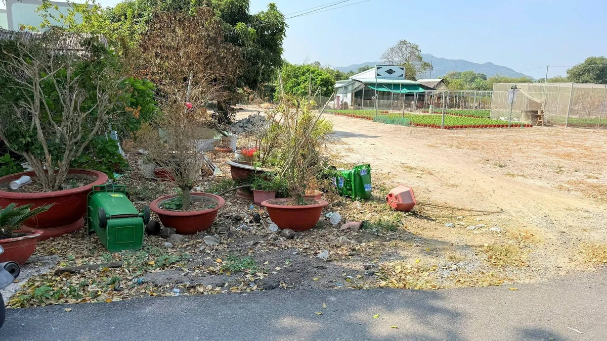 Bán đất nền 606,5m2 tại Phước Hải, Bà Rịa - Vũng Tàu 3,6 tỷ - Ảnh thu nhỏ 4