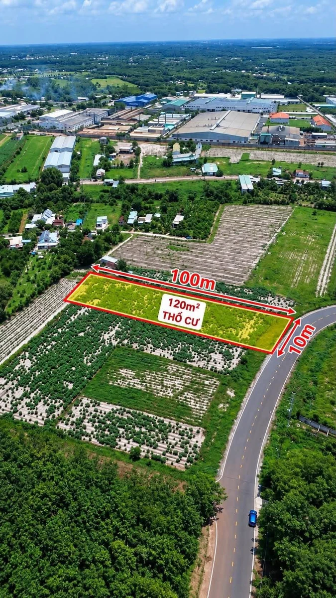Bán đất 1000m2 mặt tiền đường DH12, Bình Chánh - Ảnh thu nhỏ 2
