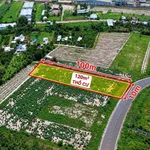 Bán đất 1000m2 mặt tiền đường DH12, Bình Chánh - Ảnh thu nhỏ 2