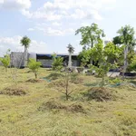 Bán nhà vườn 977m2 sổ riêng tại Hàm Liêm, Bình Thuận - Ảnh thu nhỏ 3