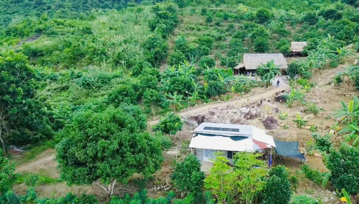 Bán vườn 4.283m² với 850 triệu ở Diên Sơn - Ảnh thu nhỏ 3