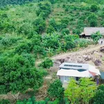 Bán vườn 4.283m² với 850 triệu ở Diên Sơn - Ảnh thu nhỏ 3