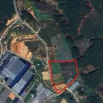 Bán lô đất 2000m2 Hoàng Hoa Thám Đà Lạt 1.4 tỷ - Ảnh thu nhỏ 2