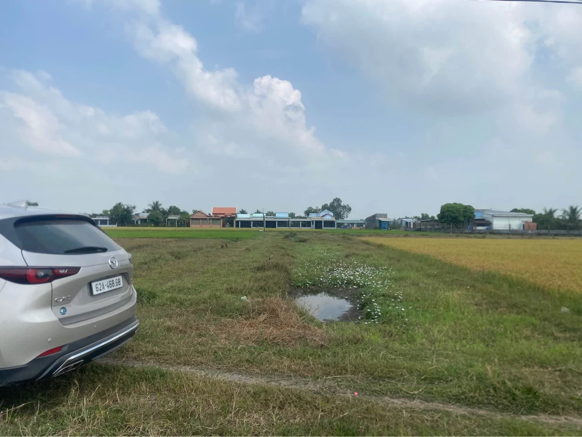 Bán đất lúa 4.190m2 mặt tiền đường đất 4m tại Ấp Bình Thủy, Hoà Khánh Đông, Đức Hoà - Ảnh thu nhỏ 2