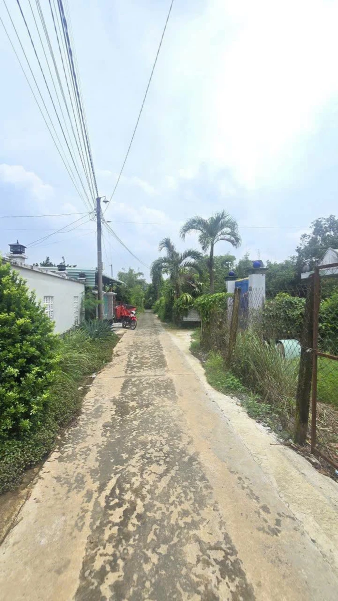 Bán vườn mai gần 2ha đất ONT, có ao cá, cây ăn trái tại Tân Triều, Đồng Nai - Ảnh 1