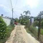 Bán vườn mai gần 2ha đất ONT, có ao cá, cây ăn trái tại Tân Triều, Đồng Nai - Ảnh thu nhỏ 1