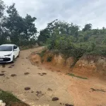 Chính chủ bán 56 hecta rừng keo 4 năm chỉ 320 triệu/hecta (quy hoạch trang trại) - Ảnh thu nhỏ 6