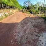 Bán nhà cấp bốn 200m² thổ cư Phước An Cần Giờ - Ảnh thu nhỏ 2