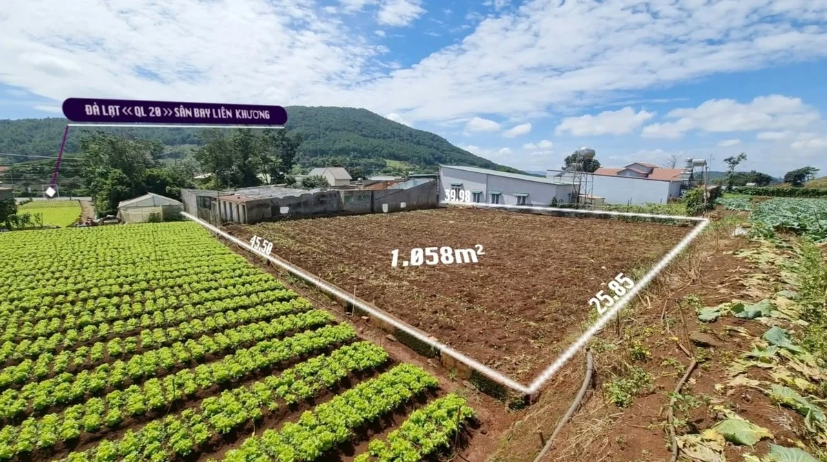 Bán đất 1058m2 (400m2 thổ cư) Hiệp Thạnh 2,8 tỷ - Ảnh 1