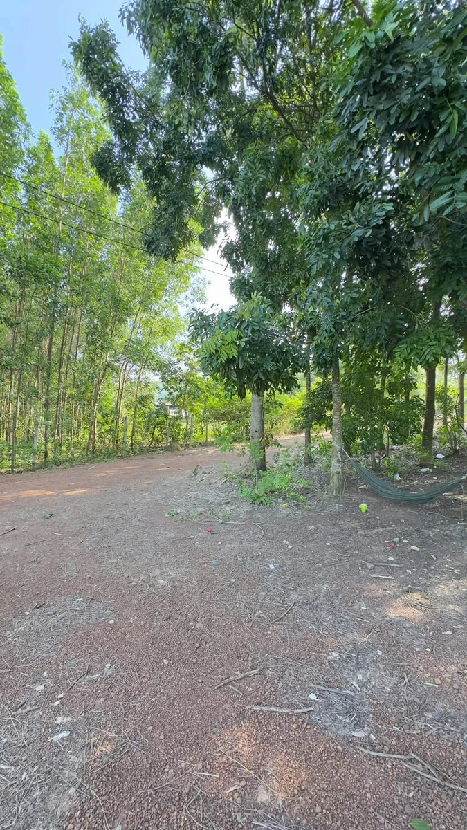 Bán lô đất 500m² gần hồ Trị An, Đồng Nai, 450 triệu - Ảnh thu nhỏ 3