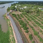 Bán đất vườn 690m² 2 mặt tiền view sông Vàm Cỏ Đông, Thạnh Hòa, Bến Lức - Ảnh thu nhỏ 1