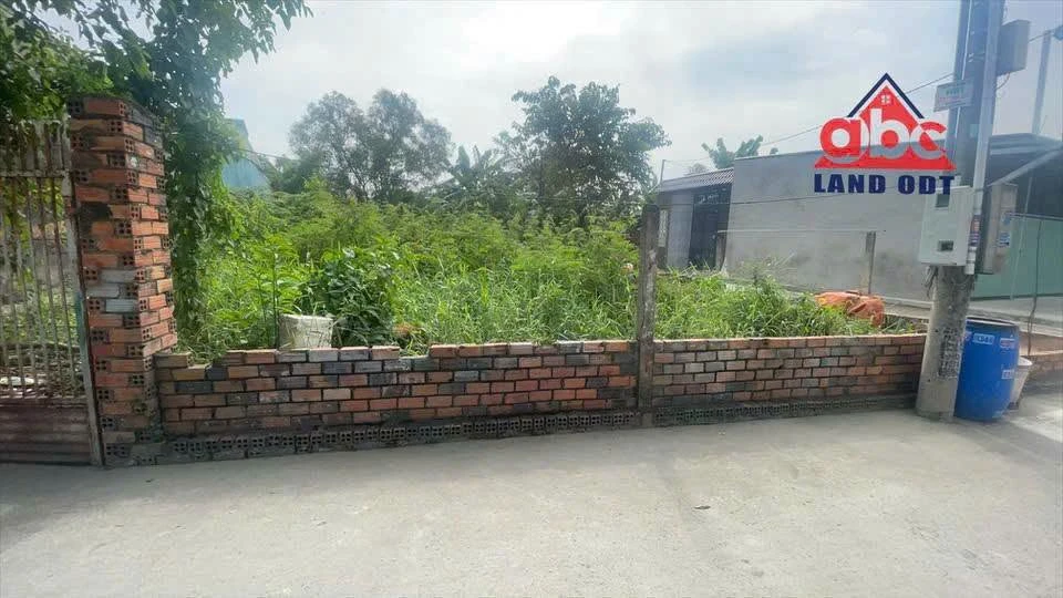 Bán đất 2 mặt tiền 554m² Tân Phong Biên Hòa 4,3 tỷ - Ảnh thu nhỏ 5