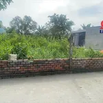 Bán đất 2 mặt tiền 554m² Tân Phong Biên Hòa 4,3 tỷ - Ảnh thu nhỏ 5