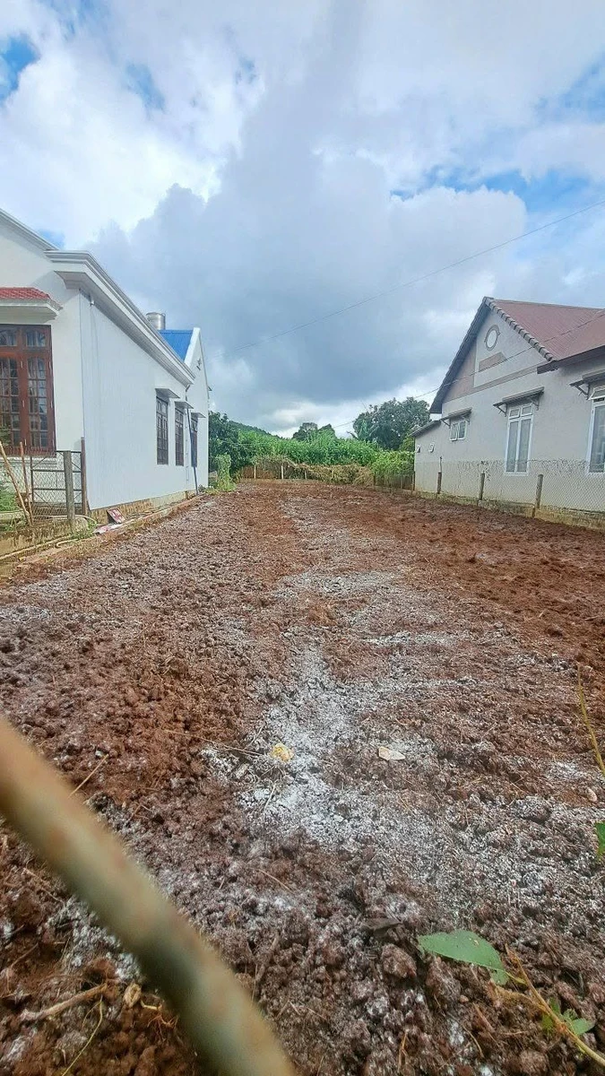 Bán lô đất 100m² Hiệp Thạnh, Nhà Bè 2.75 tỷ - Ảnh 1