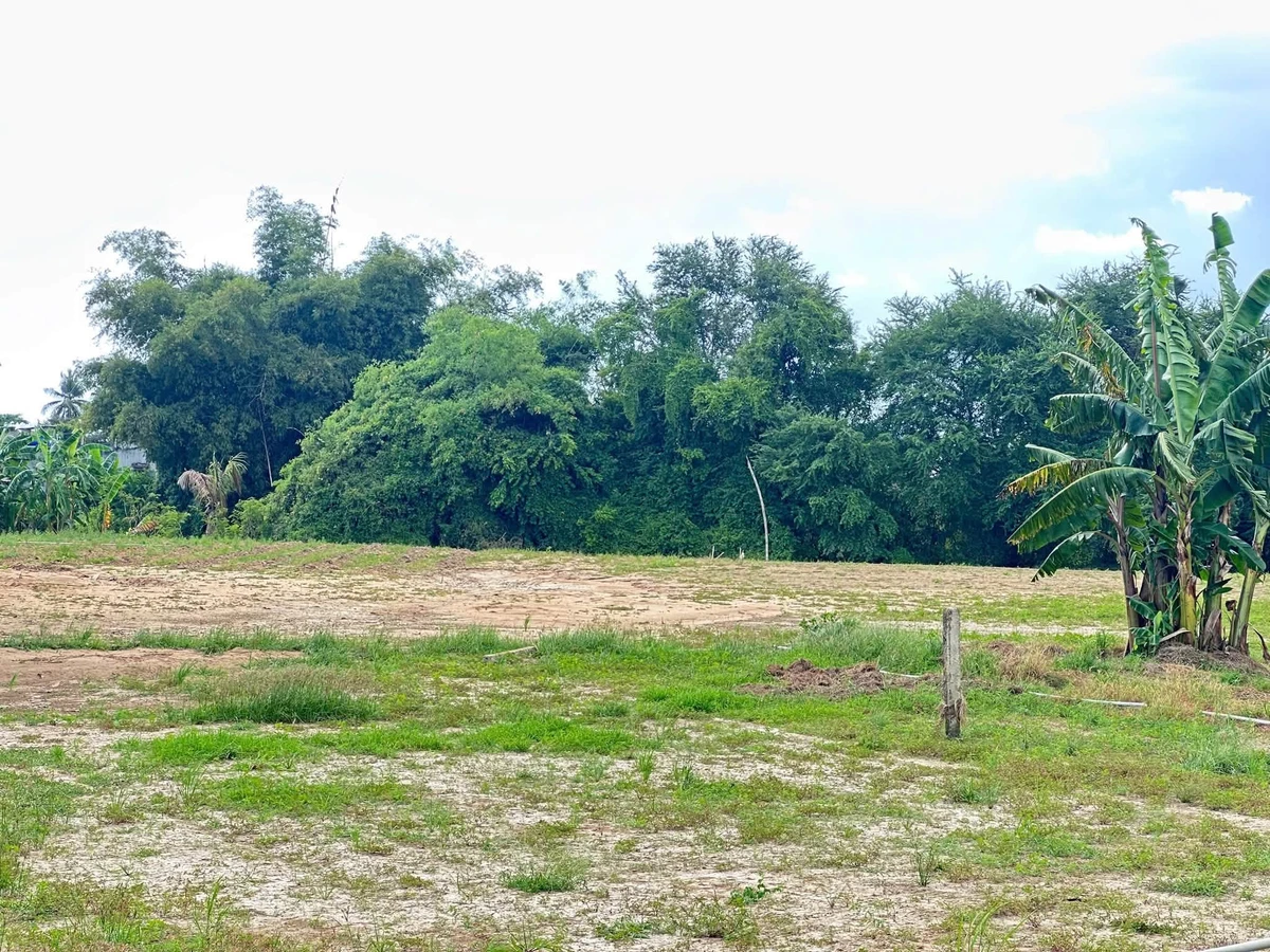 Bán lô đất 12.345m2 tại Hàm Thắng, Lâm Đồng - Ảnh thu nhỏ 4