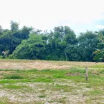 Bán lô đất 12.345m2 tại Hàm Thắng, Lâm Đồng - Ảnh thu nhỏ 4
