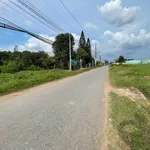 Bán đất mặt tiền Nguyễn Văn Dương Đức Hòa 190m2 - Ảnh thu nhỏ 2