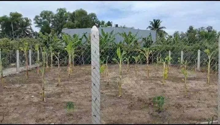 Bán đất nền góc 2 mặt tiền 429m2 ấp 1 Nhị Thành, Thủ Thừa, Long An - Ảnh thu nhỏ 4