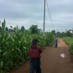 Bán đất nền Eakmat Hòa Đông 200m² giá 780 triệu - Ảnh thu nhỏ 1