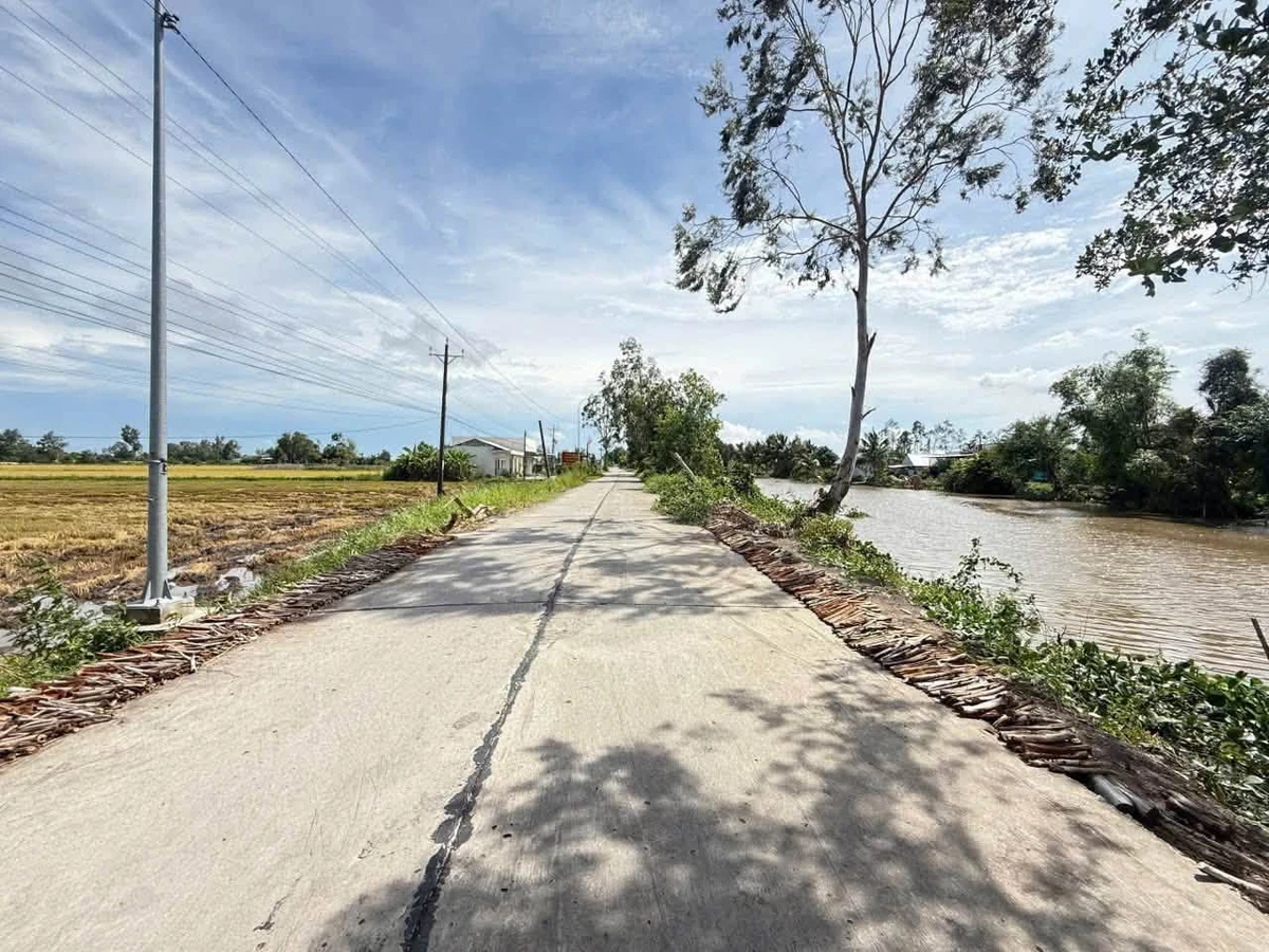 Bán 8 lô đất mặt tiền Nguyễn Chánh, An Giang, 601-1085m² - Ảnh thu nhỏ 4