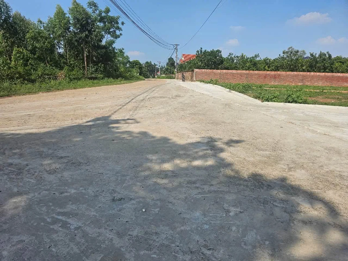 Bán 4 lô đất liền kề 100m², mặt tiền 5m, Phú Thọ 1.2 tỷ/lô - Ảnh thu nhỏ 2