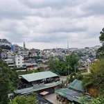 Bán đất mặt tiền Đống Đa Đà Lạt 3100m² sổ hồng - Ảnh thu nhỏ 5