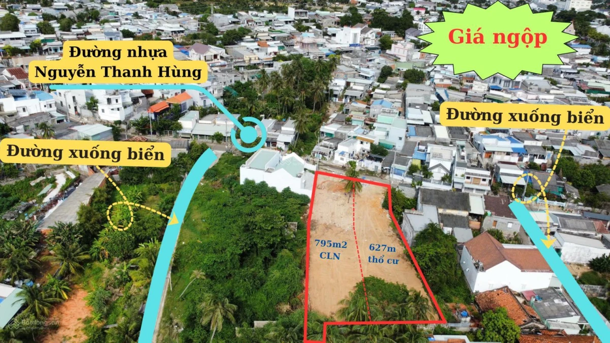 Bán đất đẹp ven biển Mũi Né, sát bên Làng Chài Mũi Né, giá ngộp chỉ 10tr/m2 - Ảnh thu nhỏ 3