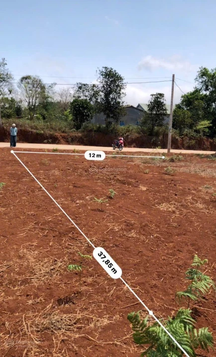 Bán đất nên sát UBND xã Hướng Phùng Quảng Trị. Diện tích 457m2 - Ảnh thu nhỏ 4