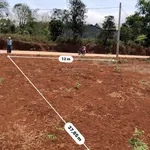 Bán đất nên sát UBND xã Hướng Phùng Quảng Trị. Diện tích 457m2 - Ảnh thu nhỏ 4
