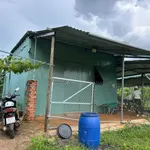 Bán đất 3 hecta vườn cây ăn trái Lộc Quang - Ảnh thu nhỏ 2
