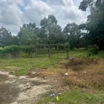 Bán đất 1000m² có nhà cấp 4 tại Bình Phước 390 triệu - Ảnh thu nhỏ 3
