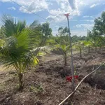 Bán đất nông nghiệp 8460m² (hơn 9 sào) Đắk Nông giá 1 tỷ 500 triệu - Ảnh thu nhỏ 2
