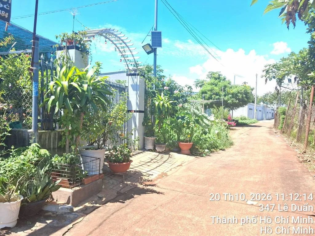 Bán đất mặt tiền Long Tân 610m² Bà Rịa Vũng Tàu - Ảnh 1