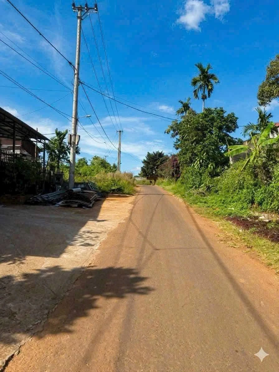 Bán đất mặt tiền Nam Kỳ Khởi Nghĩa 680m² chỉ 780 triệu, Lâm Đồng - Ảnh thu nhỏ 3