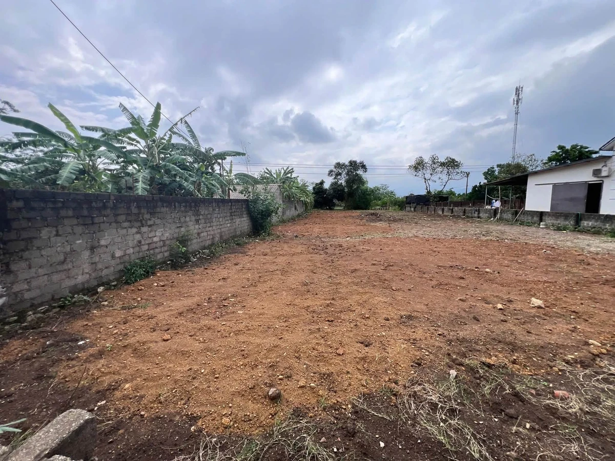 Bán đất 1.680m² mặt tiền 30m gần KCN Nhuận Trạch, Nhà Bè - Ảnh thu nhỏ 4