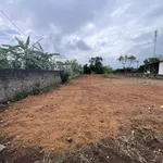 Bán đất 1.680m² mặt tiền 30m gần KCN Nhuận Trạch, Nhà Bè - Ảnh thu nhỏ 4