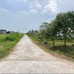 Bán lô đất vườn 7200m² thổ cư gần ngã tư Bảy Hải Hàm Liêm - Ảnh thu nhỏ 3