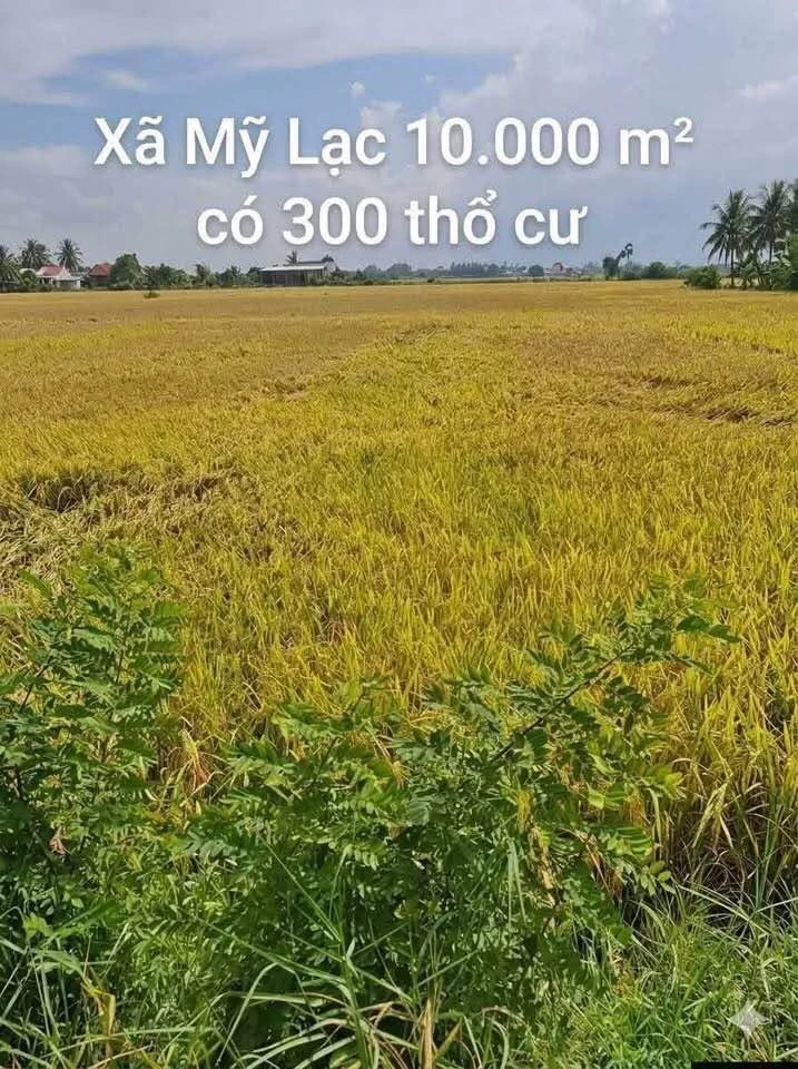 Bán 10.000 m² đất lúa với 300 m² thổ cư tại Thủ Thừa, Long An - Ảnh thu nhỏ 2