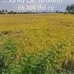 Bán 10.000 m² đất lúa với 300 m² thổ cư tại Thủ Thừa, Long An - Ảnh thu nhỏ 2
