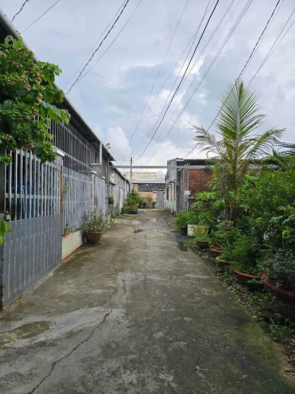 Bán nền đất Phú Tân, Vĩnh Long 158.8m² giá 350 triệu