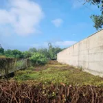Bán đất xây trọ nhà ở Phước Đức A, 610m², 2.3 tỷ - Ảnh thu nhỏ 3