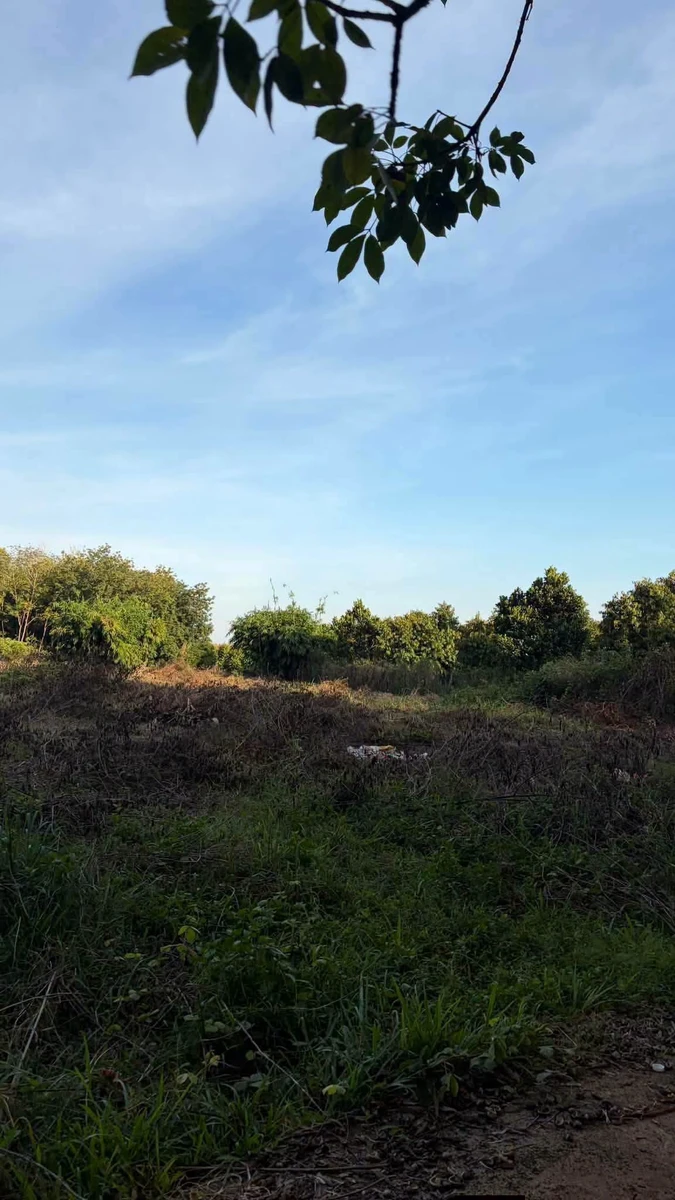 Bán lô đất 10.600m² bazan Bù Đốp - Ảnh thu nhỏ 3