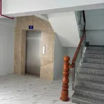 Cho thuê tòa nhà mặt tiền 750m² Tân Uyên Bình Dương - Ảnh thu nhỏ 3