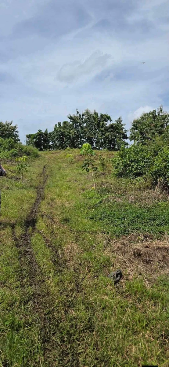Bán đất 1.9ha, view suối tại Thiện Hưng, Đồng Nai - Ảnh 1