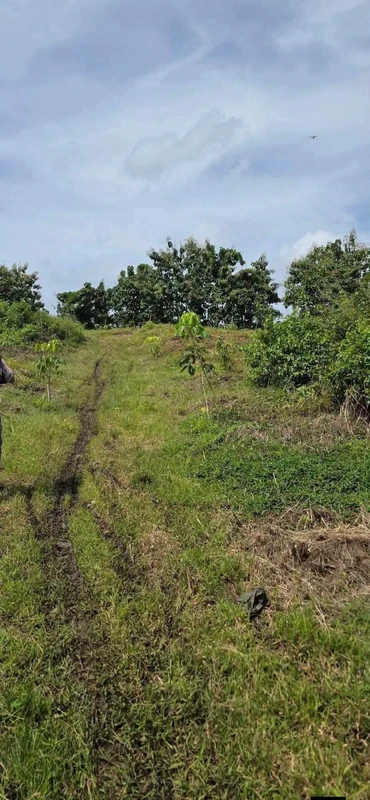 Bán đất 1.9ha, view suối tại Thiện Hưng, Đồng Nai