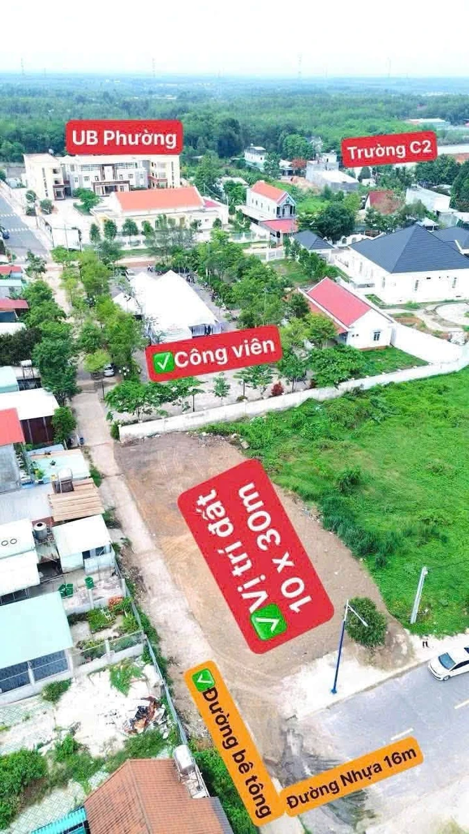 Bán lô góc 10x30m (300m²) 2 tỷ 250 tại Bình Dương - Ảnh thu nhỏ 4