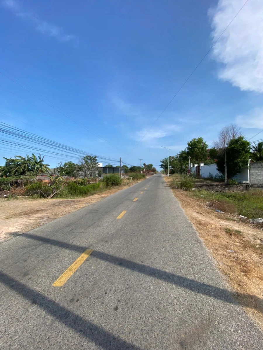 Bán đất góc 2 mặt tiền 250m² Trần Quang Diệu, Khánh Hòa - Ảnh thu nhỏ 3