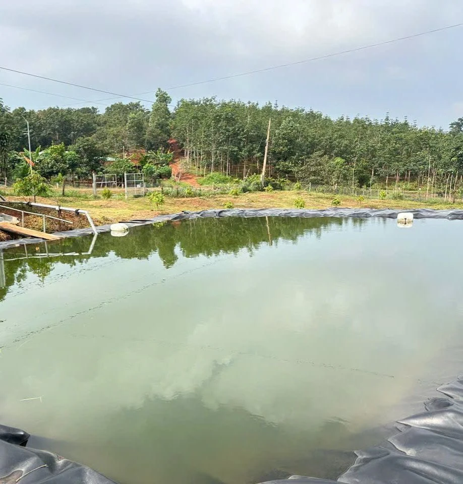 Bán đất sầu riêng 1,3 ha Xã Đông Nai Hóc Môn - Ảnh 1